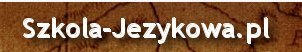 Tłumacz norweskiego , szkoła jezyków obcych Kraków e-learing, tłumaczenia norweski Kazania i homilie