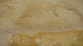 Jak pozbyć się wilgoci z domu?