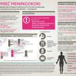٩(͡๏̯͡๏)۶ Bakteryjne zapalenie opon mózgowych, jak sobie radzić z wrogiem: meningokoki, pneumokoki i Haemophilus influenzae typu B (HiB).