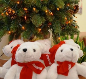 Mikołajkowe warsztaty z Dentusiem już za nami