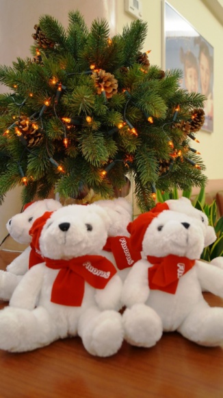 Mikołajkowe warsztaty z Dentusiem już za nami