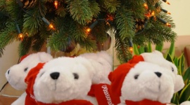 Mikołajkowe warsztaty z Dentusiem już za nami Dziecko, LIFESTYLE - W tegoroczne mikołajki odbyła się „Sobota z Dentusiem”. W wybranych gabinetach dentystycznych odbyły się adaptacyjne wizyty dla najmłodszych.