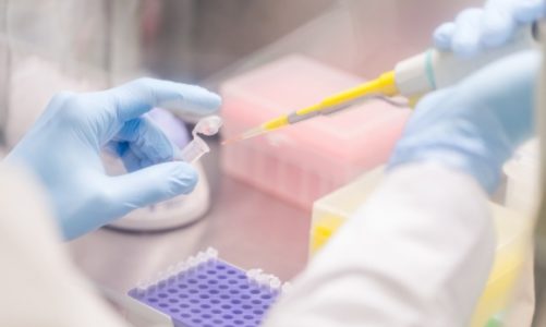 Dziecko sławnego piłkarza gwiazdą murawy? Odpowiedź jest zapisana w genach!