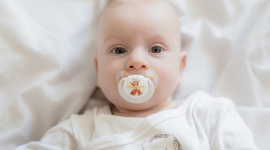 Międzynarodowy Dzień Kubusia Puchatka