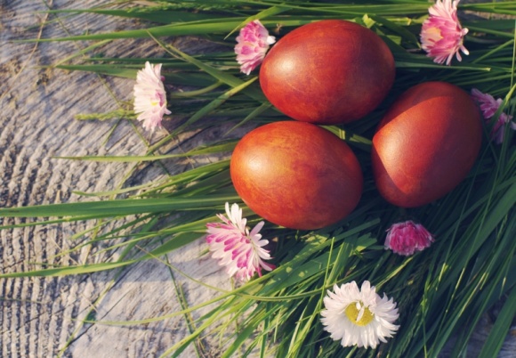 Zielone sposoby na Wielkanoc z dzieckiem Dziecko, LIFESTYLE - Zieleń to kolor nowego życia, kolor wiosny, a przez to także kolor, jaki najsilniej kojarzy się ze Świętami Wielkanocnymi. Sprawdź, jak możesz wprowadzić soczystą zieleń do domu, w którym Wielkanoc świętować będzie maluch.