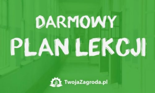 Rozpocznij rok szkolny ze sklepem TwojaZagroda.pl i darmowym planem lekcji
