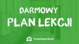 Rozpocznij rok szkolny ze sklepem TwojaZagroda.pl i darmowym planem lekcji Dziecko, LIFESTYLE - Ani w pokoju ucznia, ani w jego tornistrze nie może zabraknąć jednej bardzo ważnej rzeczy – planu lekcji. Wiadomo, że dzieci są bardzo wymagające, a plan lekcji, który używają codziennie, nie może być nudny.