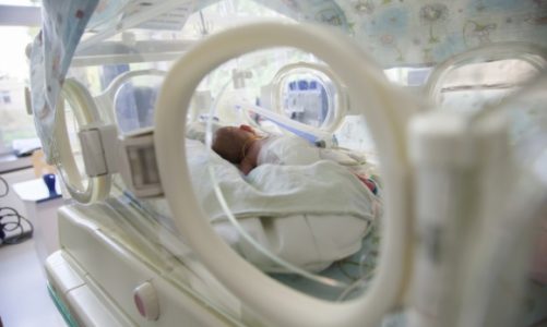 Malutkie szczęścia