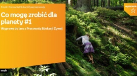 Poznaj tajemnice lasu z Empikiem Dziecko, LIFESTYLE - Zapraszamy rodziny z dziećmi w wieku od 3 do 10 lat (starsze i młodsze rodzeństwo jest również mile widziane) na dwugodzinną wyprawę do lasu murckowskiego. Wyprawa odbędzie się 6 października o godzinie 10.00.