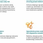 Polisa szkolna podczas kwarantanny