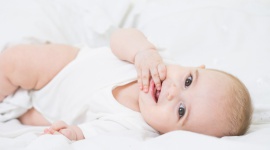Mleko modyfikowane a ekologiczne mleko modyfikowane Dziecko, LIFESTYLE - Wybór odpowiedniego mleka następnego nie jest łatwy. Tym bardziej, że na rynku wciąż pojawiają się nowe formuły, w tym mleka ekologiczne. Jeśli stoisz przed takim wyborem – przeczytaj nasze wskazówki.
