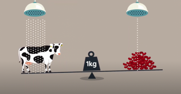 Jak ograniczyć ślad węglowy i wodny żywności? Jedzmy dobrze! Dziecko, LIFESTYLE - Stajemy się coraz bardziej świadomi tego, że wybory żywieniowe, których dokonujemy każdego dnia mają ogromne znaczenie dla naszego ogólnego zdrowia i samopoczucia. Ale czy zastanawiamy się nad tym jak wpływają na planetę? Czy przekazujemy tę wiedzę naszym dzieciom?