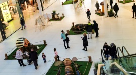 Wiosenne atrakcje w Galerii Północnej Dziecko, LIFESTYLE - Od soboty, 6 marca mieszkańcy Warszawy mogą bezpłatnie odwiedzić wystawę owadów, znajdującą się na parterze Galerii Północnej